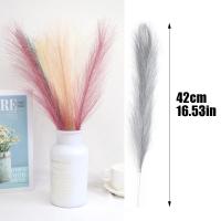 5pcs De Pampas Artificial 42cm Simulación De Pluma Para Bodas Decoración Bohemia Del Hogar Uso En Aniversarios Baños De Natación Cumpleaños Decoración De Casa - details 4