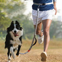 Correa Retráctil Reflectante Para Perros De Mano Libre Para Correr Al Aire Libre Correa Dual De Cadena Para Mascotas Para Todas Las Estaciones - details 0
