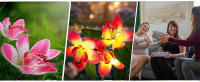 Luces Solares Para Orquídeas Al Aire Libre Lámpara De Jardín Impermeable Para Villa Aisle Corredor Decoración De Navidad Y Fiesta - details 12