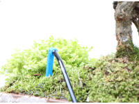 Sistema De Riego Por Drip Para Jardín Y Maceteros Con Transmisor 2-Maneras Y 4-Maneras 3/5mm Arrow Verde Herramienta De Jardinería - details 10