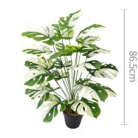Bonsái Simulado De Hoja Grande Ornamento De Maceta Planta Artificial Hyphosis Para Decoración De Oficina Y Hogar Estilo Tortuga - details 23