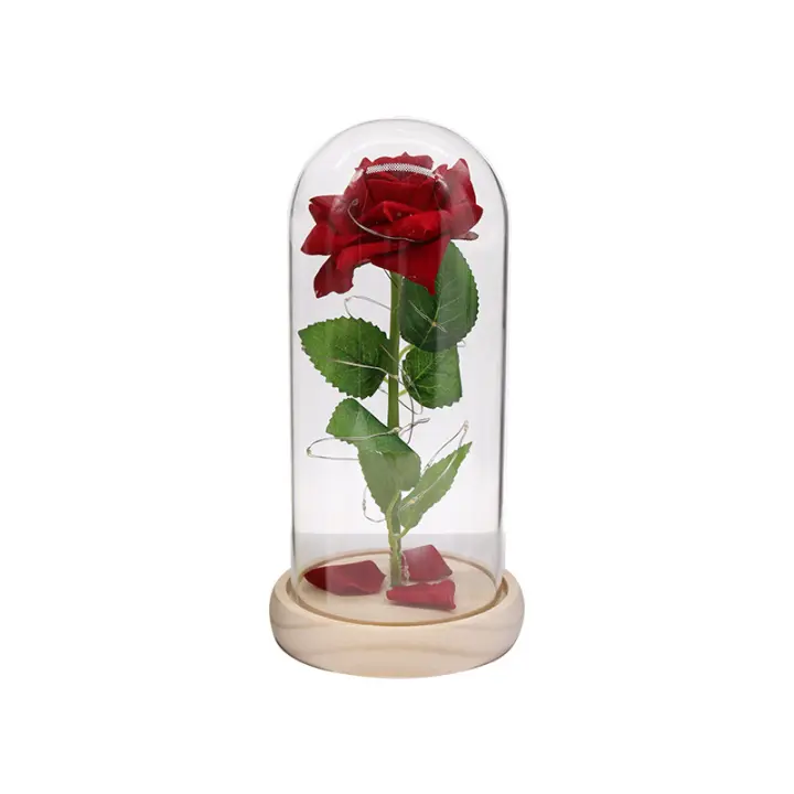 Mothers Day Rose Gifts for Women Light Up Rose in A Glass Dome for Her Mum - 1
