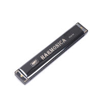 Harmonica Profesional De 24 Agujeros Para Principiantes Instrumento Musical De Metal Organ Blues Harp Harmonium - details 5