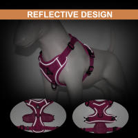Set De Correa Y Arnés Reflectante Para Perros Y Gatos De Malla Y Nylon Para Pequeños Y Medianos Perros Bulldog Pug - details 8