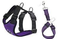 Juego De Arnes Para Coche Para Perros Con Cinturón De Seguridad Ajustable Y Malla Transpirable Y Cuerda Elástica Para Vehículo - details 9
