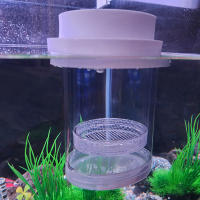 Caja De Cría De Peces Flotante En Plástico Acuario Incubador De Alimentos Para Peces Hatchery Accesorios De Acuario - details 19