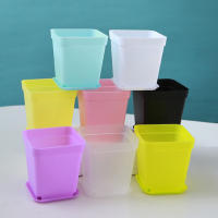 Maceta de Plástico para Vivero Ideal para Jardín y Manualidades Bricolaje Diseño Sólido Adecuada para Plantas y Bodas Favoritas - details 5