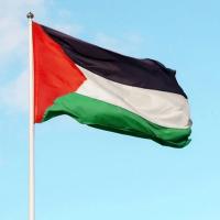 Bandera De Palestina De Poliéster Para Decoración De Hogar Y Actividades Nacionales Tamaño Variado 250*150 Cm 150*90 Cm 90*60 Cm 14*21 Cm - details 0