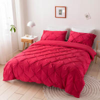 Set De Edredón 3 Piezas Con Cierre De Cremallera Y Amarras En Esquinas Microfibra Suave Con Pliegues Pinch Detección De Alta Calidad - details 77