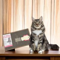 COTTECOTA-Rascador para Gatos 13x38cm, Caja Rascadora para Gatos con Cartón,Tablero Rascador de Doble Cara para Gatos con diseño de Orificio Interactivo,Muebles Resistentes para Gatos,Gatera Alfombrillas de Cartón Rascador - details 2