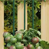 vidaXL Tutores para plantas de jardín (30 unidades) acero verde Dimensiones 60 cm,  90 cm,  115 cm y mas - details 2