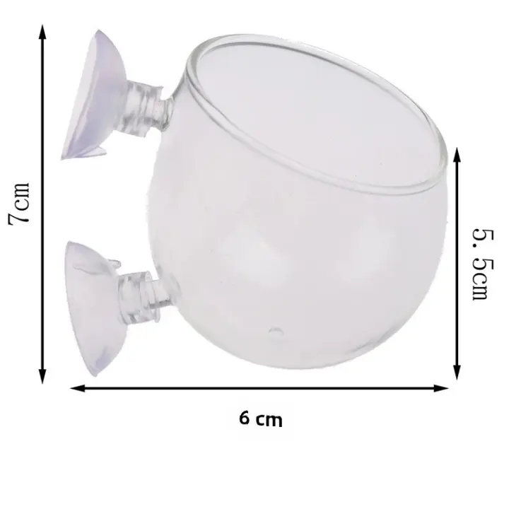 Vaso De Cristal Para Acuario Con Aspiradores Para Cultivar Semillas De Plantas Acuáticas Y Coral Decoración De Tanque De Peces Accesorio - 1