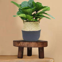 Nueva Tabla De Plantas De Madera Soporte Para Maceta Base De Flor Estilo De Jardín Display De Flores Y Hierbas - details 8