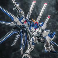 XFS Xingfengshe HG 1/144 Modelo De Artesanía De Robot Rising Freedom Colección SEED Figura De Acción Anime Juguete De Plástico Para Niños Y Adultos - details 4