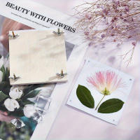 Kit De Preparación De Flores De Madera Para Preservar Specimenes Botánicos Hojas Y Flores Fácil Herramienta De Manualidades Para Amantes De La Naturaleza - details 0