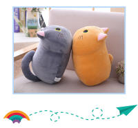 Cojín De Peluche Gato Lindo De 25 Cm Juguete De Peluche Animal Para Niñas Regalo De Cumpleaños Niños Juguete De Peluche Gato Kawaii - details 1