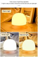 Lámpara De Noche LED Portátil Con Control Remoto Y Luz Dimmable Para Dormitorio Lámpara De Escritorio Para Lectura Y Decoración De Ambiente - details 7