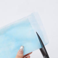 Papel Filtro De Vacío Para Arte De Uñas 100/300/500 Piezas 20x24cm Desechable Antipolvo Para Manicura Papel De Filtro No Tejido - details 2