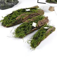 Bloques De Molusco Para Plantación De Hierba Falso De Madera Verde Para Decoración De Jardín DIY Estilo Bonsái - details 0