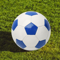 Pelota de playa inflable para entrenamiento de fútbol, impermeable, para práctica de juego - details 6