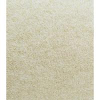 Kadusi - Moqueta Beige para Tapizar Coche, Furgoneta o Barco - Tapizado de Suelo y Maletero - 160 cm - Venta por Metros - details 3