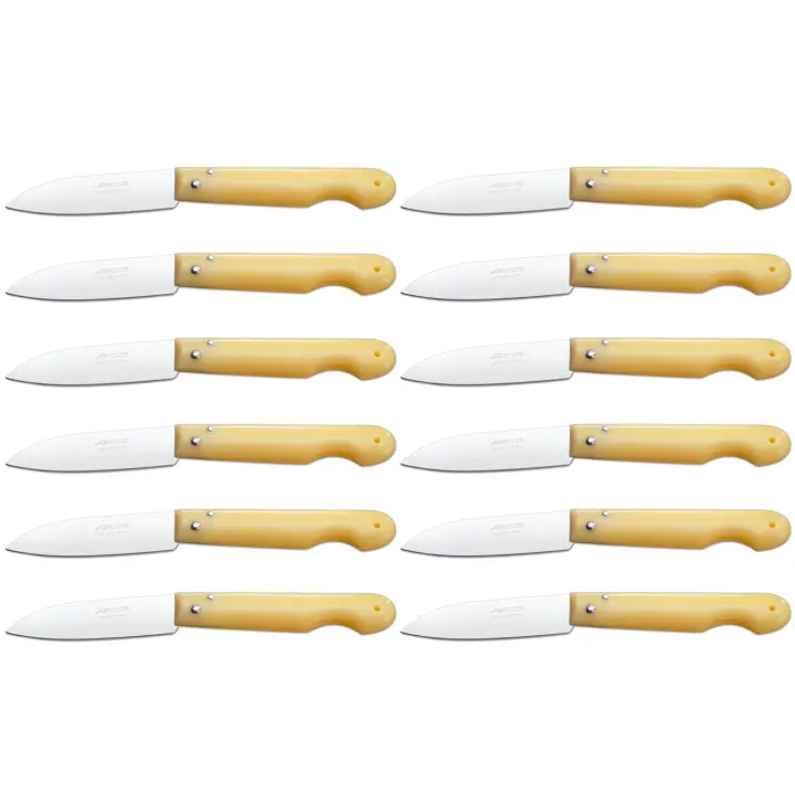 ARCOS Navaja Profesional - Navaja de Cocina (85 mm) - Acero Inoxidable Nitrum® - Mango de Polipropileno (Amarillo) - PACK 12 - 1