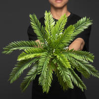 Árbol De Palma Artificial 45cm Con 18 Hojas Hojas De Monstera Tropicales Falsas Plantas Sago Cycas Para Decoración De Jardín Interior Y Exterior - details 5
