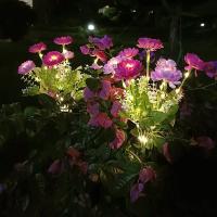 Luces Solares Para Jardín Decorativas Flor De Loto Nieve Iluminación Exterior Patio Decoración De Fiesta Boda Luces De Jardín - details 9