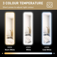HOMCOM Espejo de Cuerpo Entero con Luz LED 150x40 cm Espejo de Pie o de Pared sin Marco con Iluminación de 3 Colores Función de Memoria y Táctil Inteligente para Salón Dormitorio Transparente - details 5