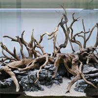 Nueva Decoración De Acuario En Madera Natural Arbolado Y Raíces Para Acuario Pez Decoraciones De Plantas Y Tronco De Árbol Para Decoración De Acuario - details 1