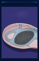 Zapatillas De Baloncesto Para Hombres Entrenamiento En Pista Transpirables Resistentes Al Desgaste Antideslizantes Cómodas Deportivas Running - details 7