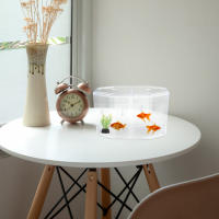 Acuario Octogonal Para Peces Betta Y Guppys Caja De Incubación De Alimentos Acrílico Transparente Para Reproducción De Peces En El Hogar - details 2