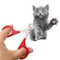 Tijeras Profesionales Para Uñas De Gatos Y Perros Pequeños Cortador De Uñas Para Mascotas Accesorios De Peluquería Para Mascotas - details 3