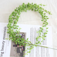 1PC Cadena De Perlas Artificial De Suculentas Colgantes Para Bodas Y Decoración De Hogar Para Sala De Estar Y Dormitorio - details 5