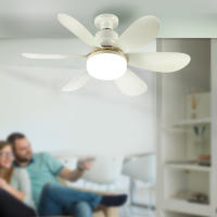 Ventilador De Techo Con Luz LED De 30W Base E27 Control Remoto 3 Modos De Iluminación Ajustables Alta Potencia De Viento Moderno - details 0