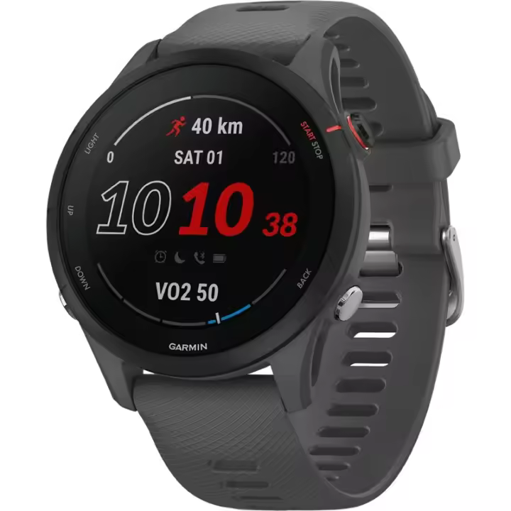 Garmin Forerunner 255 Gris - 1