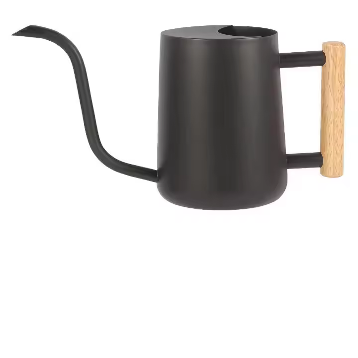 Regadera pequeña de 35 oz Regadera de metal de acero inoxidable para interiores Regadera decorativa moderna con pico largo - 1