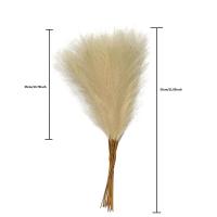 Pack De 10 Pampas Artificiales Imitación De Caña De Paja Para Decoración De Hogar Y Eventos - details 8