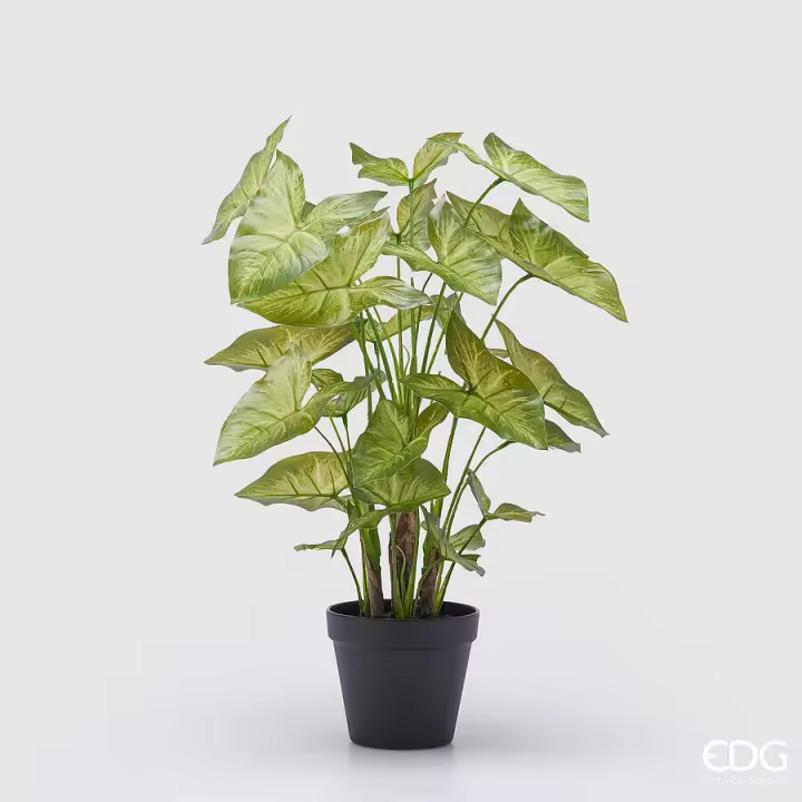 EDG Enzo De Gasperi Caladium Jarrón Artificial H 47 Cm Verde - 1