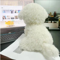 Muñeco De Peluche Realista Con Cabello Curvo Para Niños Y Bebés Juguetes De Animales Suaves Decoración De Habitación Regalo De Cumpleaños De Alta Calidad - details 4