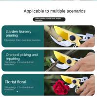 Tijeras De Jardinería Importadas SK5 Para Frutas Y Árboles De Acero Inoxidable Resistentes a Ramas Duras Herramienta De Podar Laboriosa - details 2