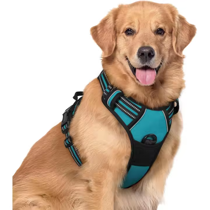 Arnes Perro Grande, Arnes Perro Antitirones Coche con Lineas Reflecantes, Chaleco Perro Acolchado Ajustable Transpirable con Asa y Anillos para Adiesreamiento Tamaño XL Color Azul Pavo Real - 1