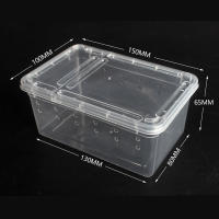 Caja De Cría Para Reptiles Acrópodo Tarántulo Geckos Insectos Tortugas - Contenedor De Habitable Para Anfibios Y Reptiles - details 6