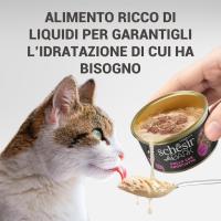 Schesir After Dark, Sabor Pollo con jamón en filetes, alimento húmedo Completo para Gatos Adultos (latas 12 de 80 g) - details 2
