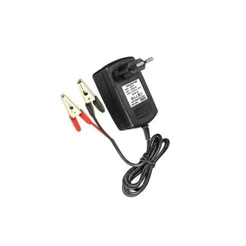 Cargador Baterías 12V 4Ah PASTORMATIC - Ideal para Ref. 300 y 250 - 16740 - 1