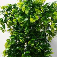 Vine De Simulación Colgante Para Pared Realista No Desvanecida Bellas Plantas Imitación Para Decoración De Oficina Y Hogar - details 4