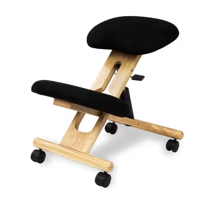 Silla ergonómica Ergochair - 1