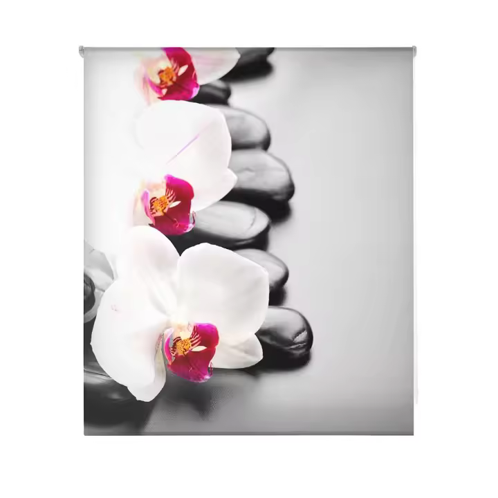HAPPYSTOR  Estor Enrollable Traslúcido Estampado Digital Zen HSCZ1465 - 1