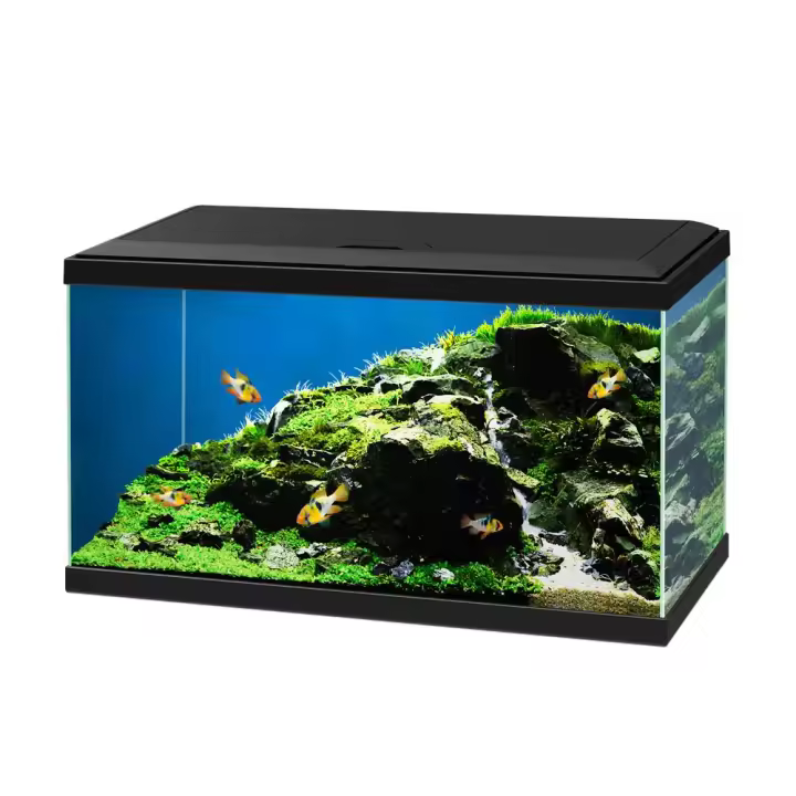 Ciano Aqua 65L Plus LED Negro - Set con filtro, LED y Consumibles - 1