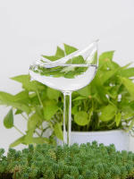 Sistema De Riego Por Drip Automático En Forma De Pájaro Plástico Transparente Para Interior Jardín Maceta Autorelleno Alimentador Dispositivo De Agua - details 3